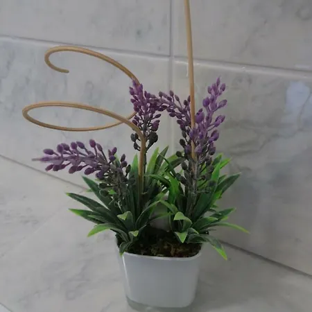 Panorama Seget * Trogir